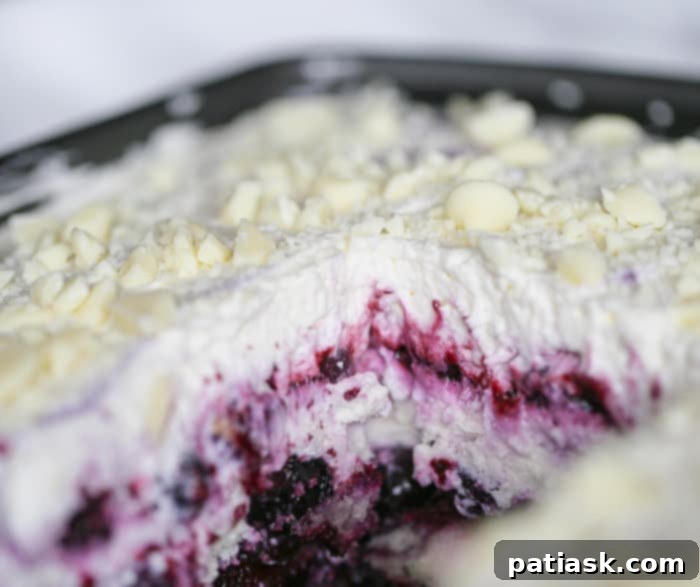 Velvet Blueberry Cheesecake Stack 5 Blueberry Cream Cheesecake Lasagna - blueberry layered dessert