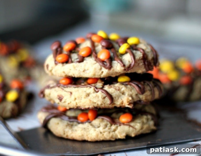 20 Ways to Peanut Butter Cookie Perfection 14 Reese's Pieces Peanut Butter Oatmeal Cookies