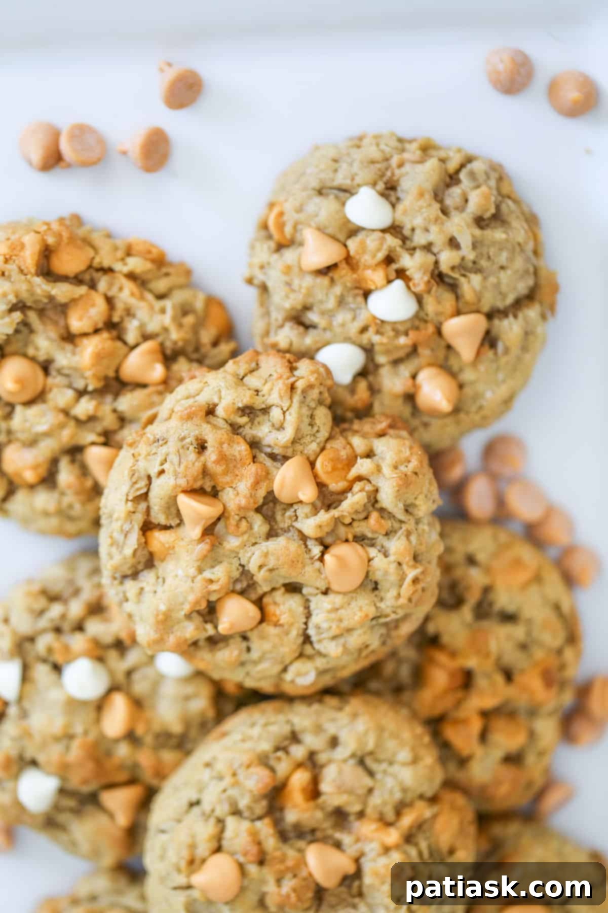 20 Ways to Peanut Butter Cookie Perfection 16 Peanut Butter Oatmeal Scotchies Cookies