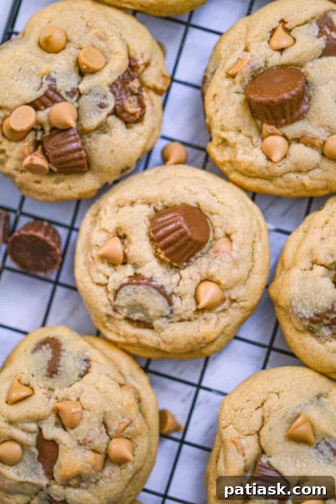 20 Ways to Peanut Butter Cookie Perfection 17 Peanut Butter Cup Explosion Cookies with Reese's