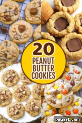 20 Ways to Peanut Butter Cookie Perfection 19 Variety of Peanut Butter Cookies