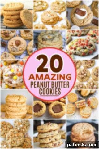 20 Ways to Peanut Butter Cookie Perfection 20 Assortment of Peanut Butter Cookie Recipes