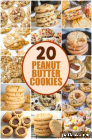 20 Ways to Peanut Butter Cookie Perfection 21 Collection of Peanut Butter Cookies