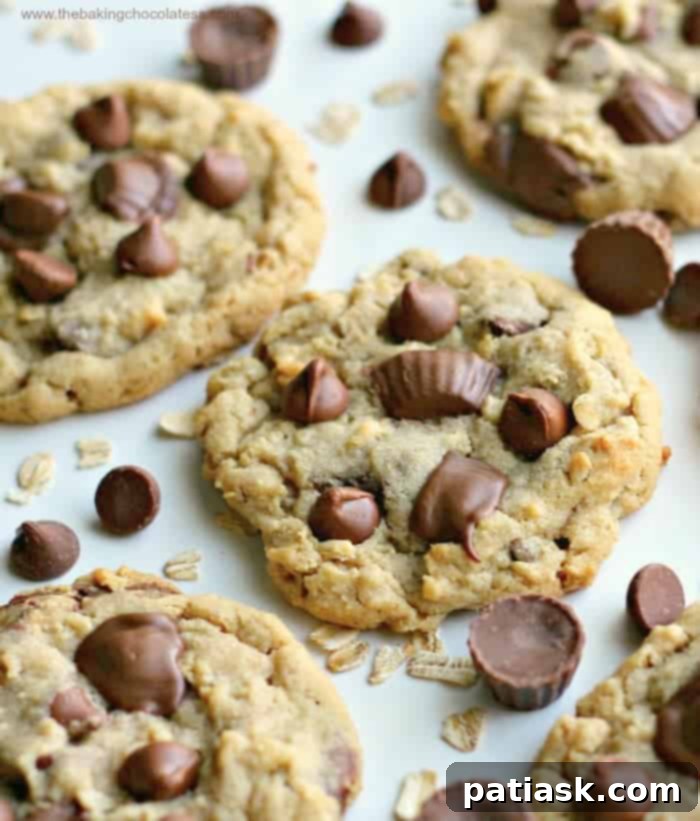 20 Ways to Peanut Butter Cookie Perfection 3 Phenomenal Milk Chocolate Chip Peanut Butter Cookies