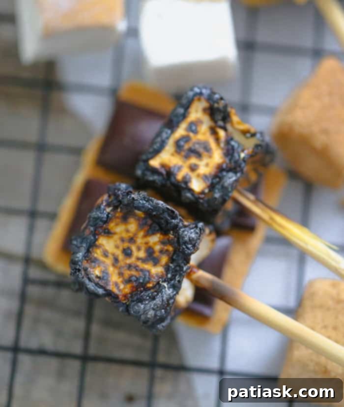 SmashMallow Marshmallow Cookie Delights 7 SmashMallow Marshmallow Chocolate Chip Cookies