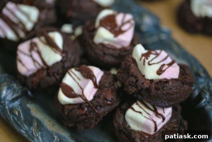 SmashMallow Marshmallow Cookie Delights 9 SmashMallow Marshmallow Chocolate Chip Cookies