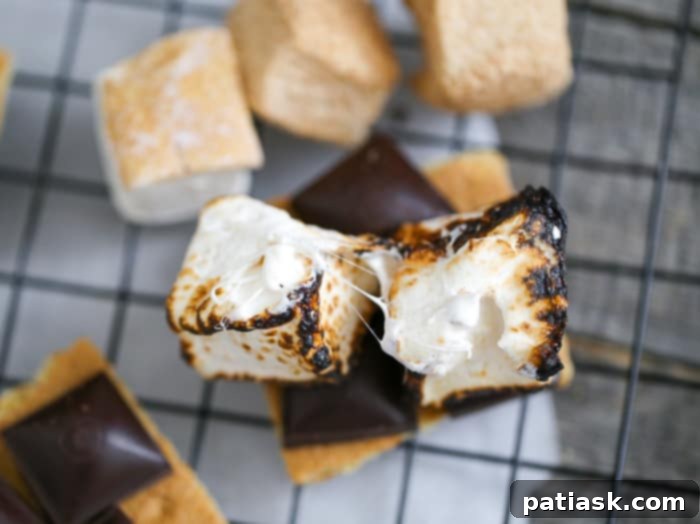 SmashMallow Marshmallow Cookie Delights 10 SmashMallow Marshmallow Chocolate Chip Cookies