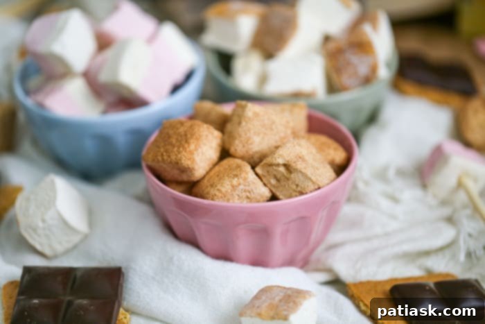 SmashMallow Marshmallow Cookie Delights 3 SmashMallow Marshmallow Chocolate Chip Cookies