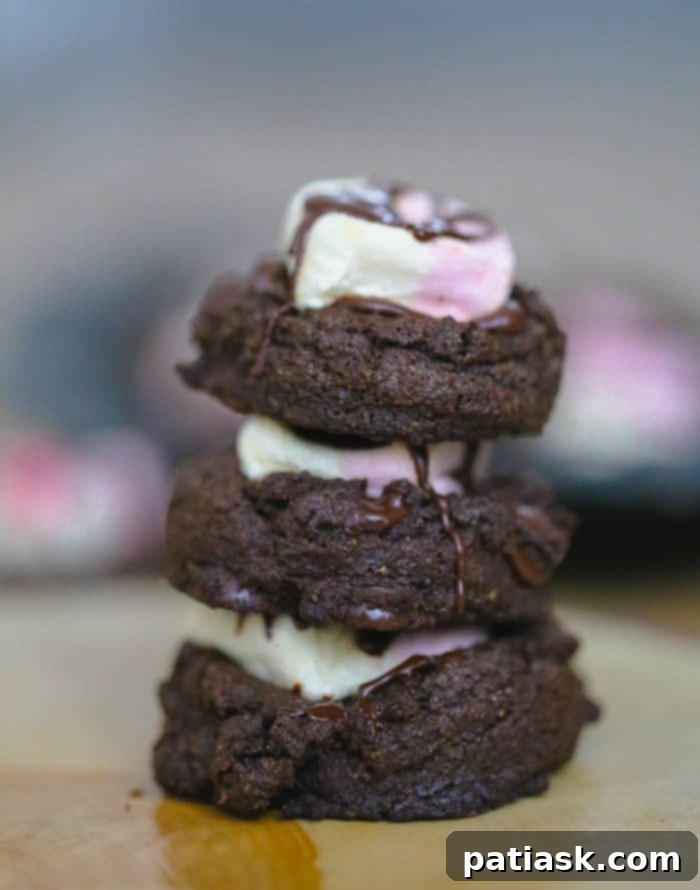 SmashMallow Marshmallow Cookie Delights 11 SmashMallow Marshmallow Chocolate Chip Cookies