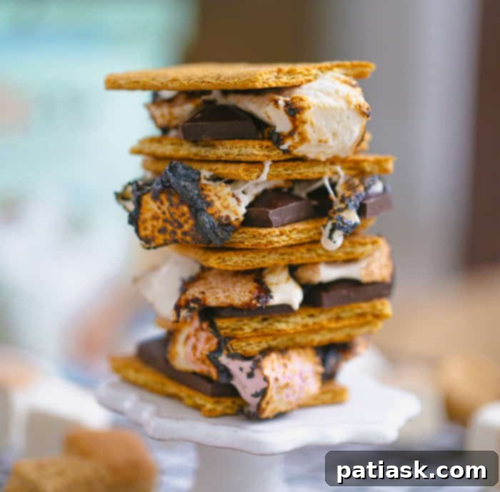 SmashMallow Marshmallow Cookie Delights 6 SmashMallow Marshmallow Chocolate Chip Cookies