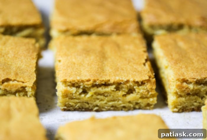 Golden Brown Sugar Brownie Bars 6 EASY Brown Sugar Brownie Bars RECIPE