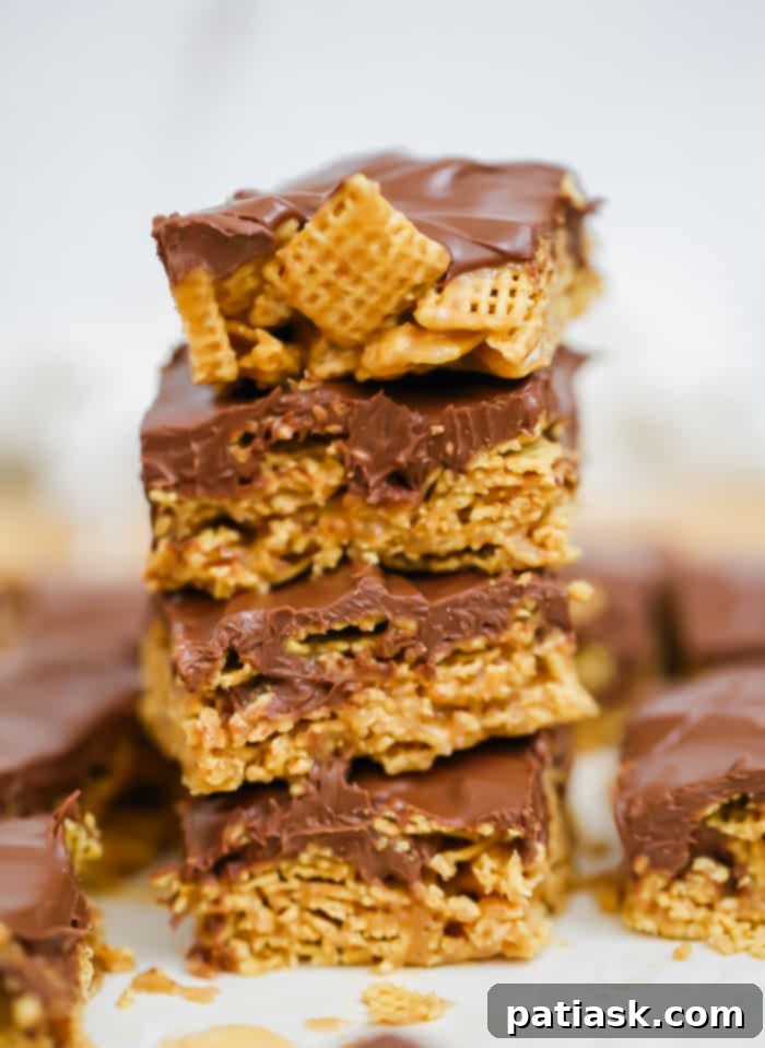 Chewy Chocolate Peanut Butter Bars 2 OMG Honey Chex Chocolate Peanut Butter Bars cereal treats recipe gluten free