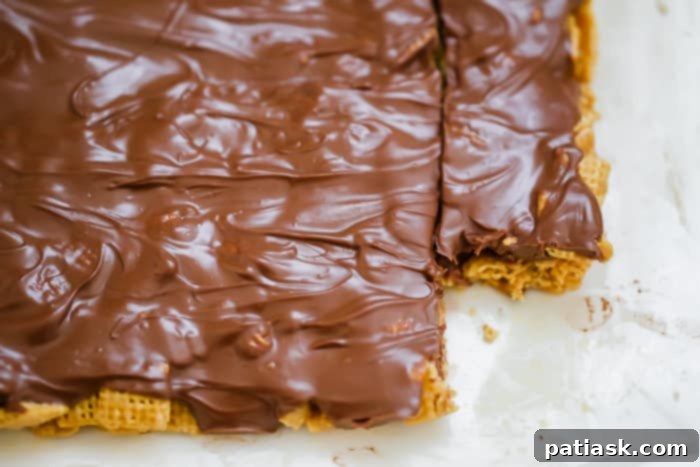 Chewy Chocolate Peanut Butter Bars 7 OMG Honey Chex Chocolate Peanut Butter Bars cereal treats recipe gluten free