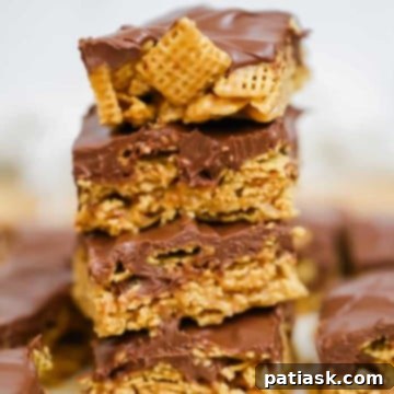 Chewy Chocolate Peanut Butter Bars 9 OMG Honey Chex Chocolate Peanut Butter Bars - No-Bake - GF