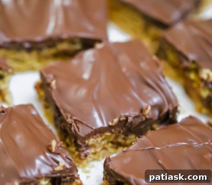 Chewy Chocolate Peanut Butter Bars 3 OMG Honey Chex Chocolate Peanut Butter Bars cereal treats recipe