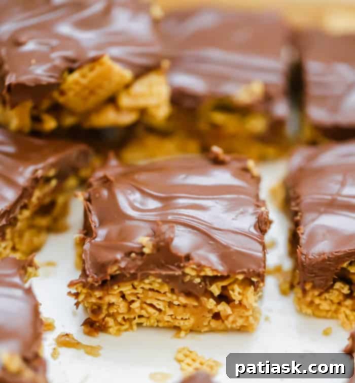 Chewy Chocolate Peanut Butter Bars 4 OMG Honey Chex Chocolate Peanut Butter Bars cereal treats recipe