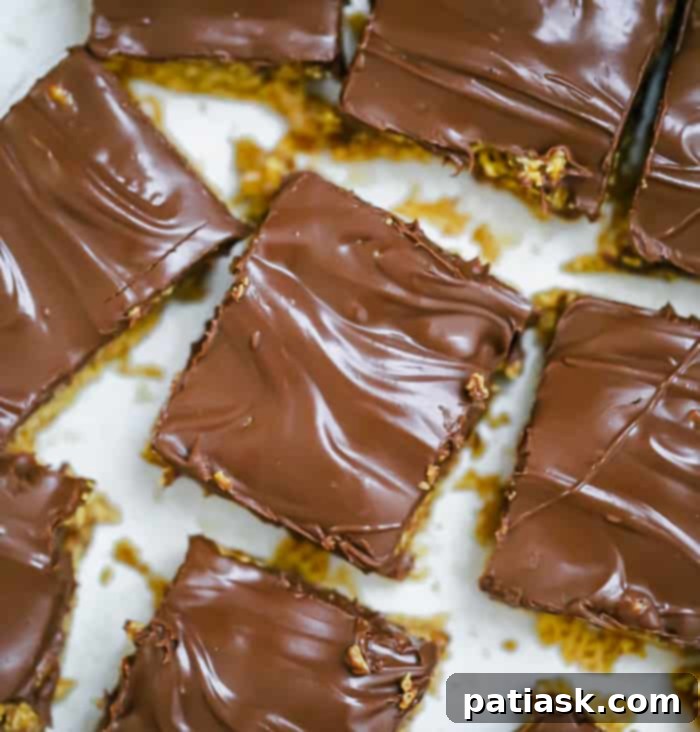 Chewy Chocolate Peanut Butter Bars 5 OMG Honey Chex Chocolate Peanut Butter Bars cereal treats recipe gluten free