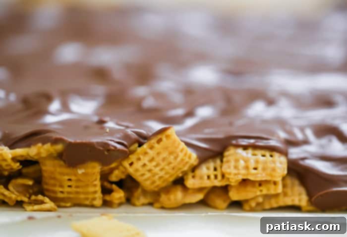 Chewy Chocolate Peanut Butter Bars 6 OMG Honey Chex Chocolate Peanut Butter Bars - No-Bake - GF