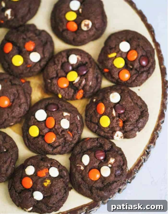 Reese's Cookie Recipe Reese's Chocolate Fudge Cookies RECIPE, showing ingredients and final product