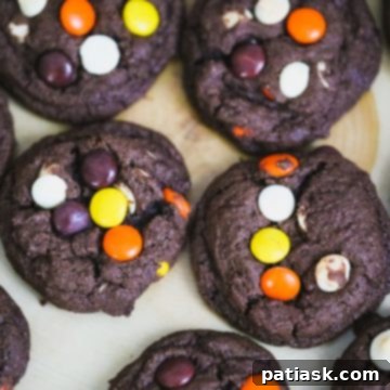 Reese's Peanut Butter Fudge Cookie Reese's Peanut Butter Chocolate Fudge Cookies