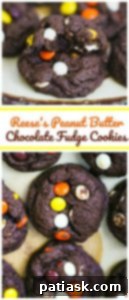 Peanut Butter Chocolate Cookies Reese's Peanut Butter Chocolate Fudge Cookies on a plate