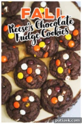 Stacked Fudge Cookies Two Reese's Chocolate Fudge Cookies stacked