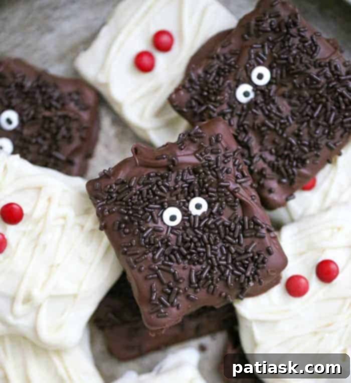 Monster Mummy Chocolate Grahams 7 Monster and Mummy Chocolate Covered Graham Cracker Cookies