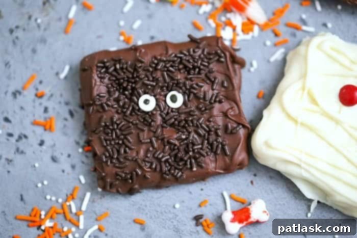 Monster Mummy Chocolate Grahams 3 img 36653 2