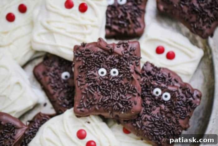 Monster Mummy Chocolate Grahams 4 img 36653 5