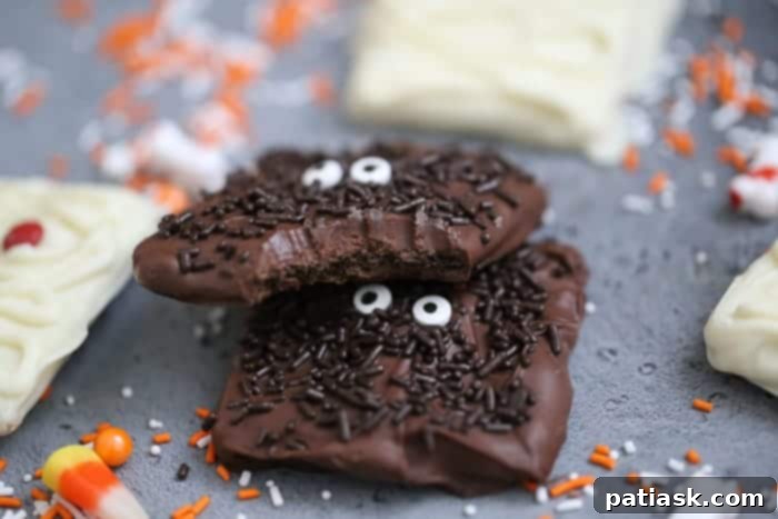 Monster Mummy Chocolate Grahams 5 img 36653 7