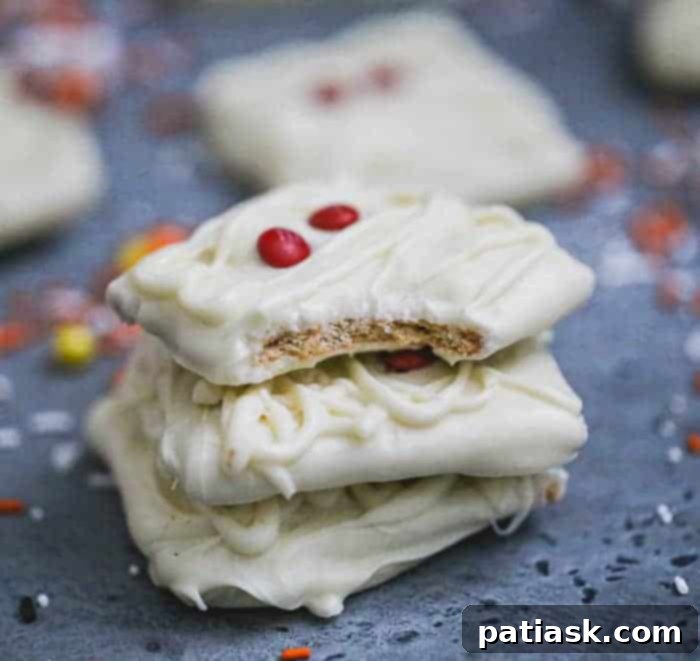 Monster Mummy Chocolate Grahams 6 Monster and Mummy Chocolate Covered Graham Cracker Cookies