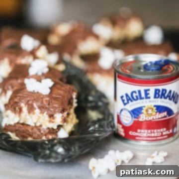 Fudgy Milk Chocolate Popcorn Bars 10 Milk Chocolate Fudge Covered Popcorn Bars