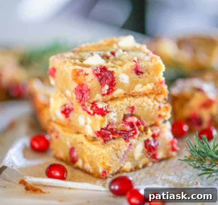 Holiday Cranberry White Chocolate Blondies