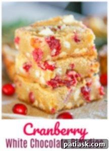 Holiday Cranberry White Chocolate Blondies