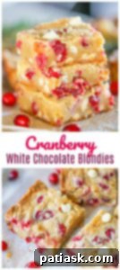 Holiday Cranberry White Chocolate Blondies