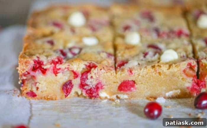 Holiday Cranberry White Chocolate Blondies