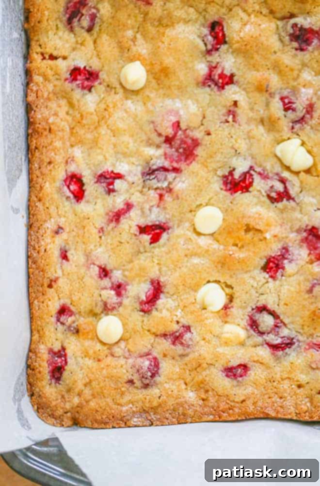 Holiday Cranberry White Chocolate Blondies