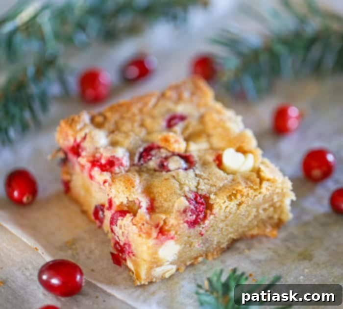 Holiday Cranberry White Chocolate Blondie