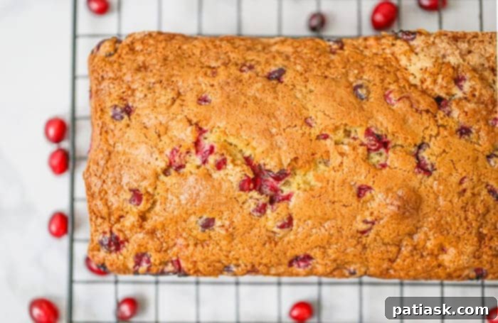 Zesty Cranberry Orange Loaf 7 cranberry orange bread recipe
