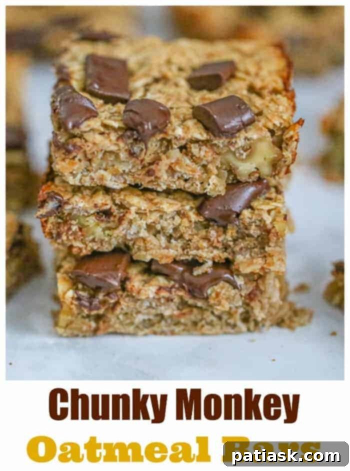 Wholesome Chunky Monkey Oat Bars 12 Healthy Chunky Monkey Oatmeal Bars recipe for quick treats