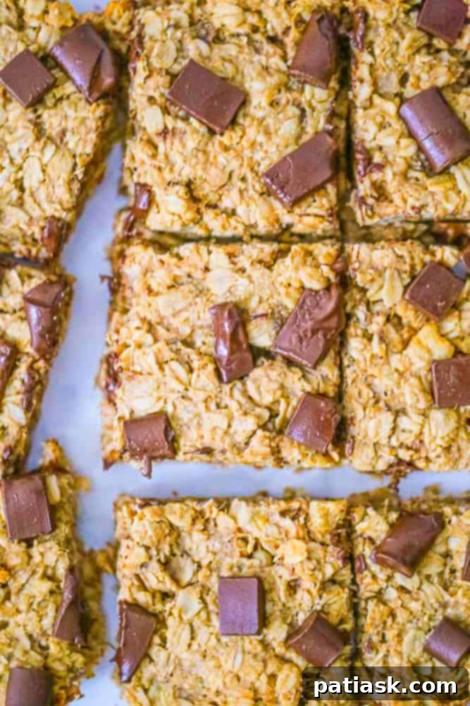 Wholesome Chunky Monkey Oat Bars 5 Healthy Chunky Monkey Oatmeal Bars as a delicious healthy snack