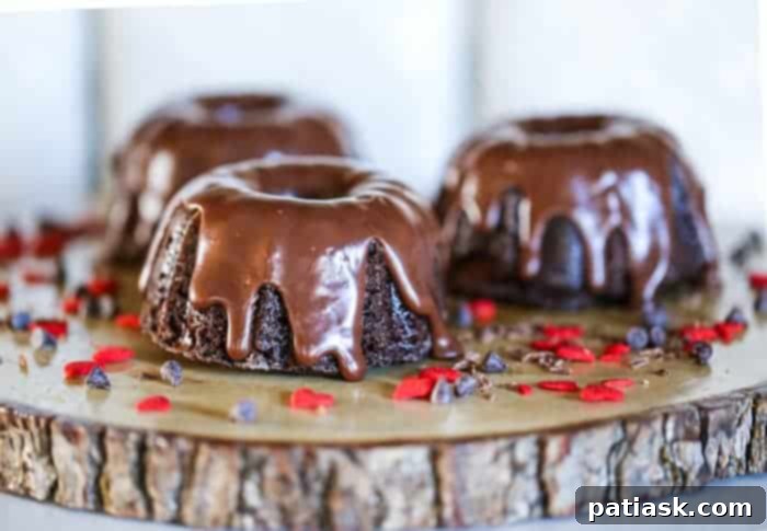 Exquisite Mini Decadent Chocolate Bundt Cakes with glossy ganache