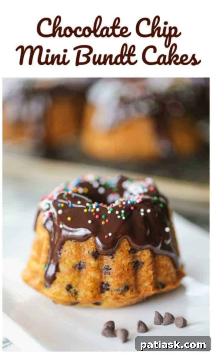 Mini Chocolate Chip Bundt Cakes with a sprinkle of powdered sugar