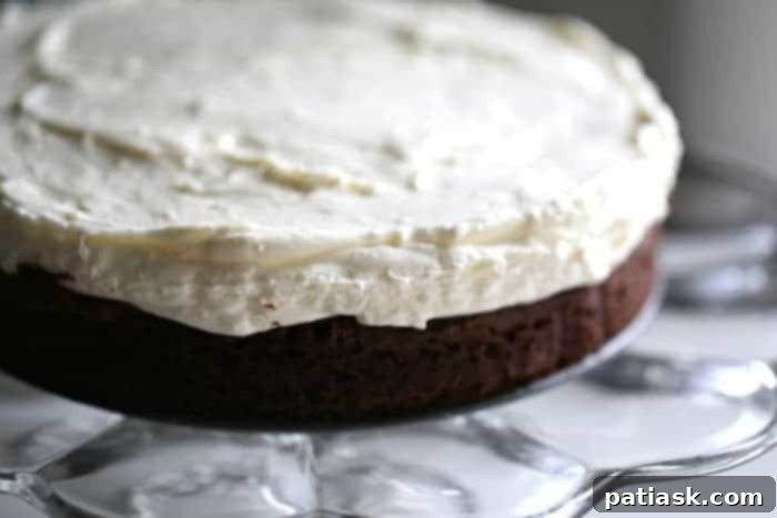 Decadent Chocolate Brownie Cheesecake 6 Close-up of a slice of Chocolate Brownie Cheesecake Dessert