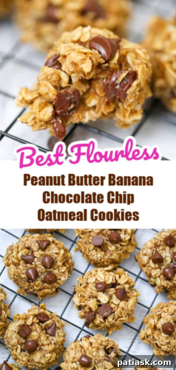 Simple 5-Ingredient Peanut Butter Banana Chocolate Chip Oatmeal Cookies 14 Peanut Butter Banana Chocolate Chip Oatmeal Cookies