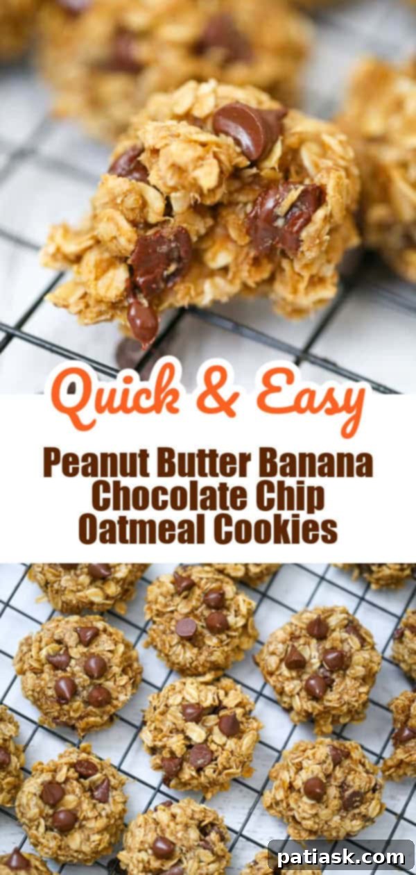 Simple 5-Ingredient Peanut Butter Banana Chocolate Chip Oatmeal Cookies 15 Peanut Butter Banana Chocolate Chip Oatmeal Cookies