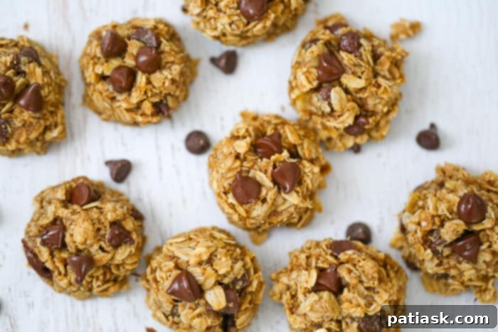 Simple 5-Ingredient Peanut Butter Banana Chocolate Chip Oatmeal Cookies 3 Baked Oatmeal Treats