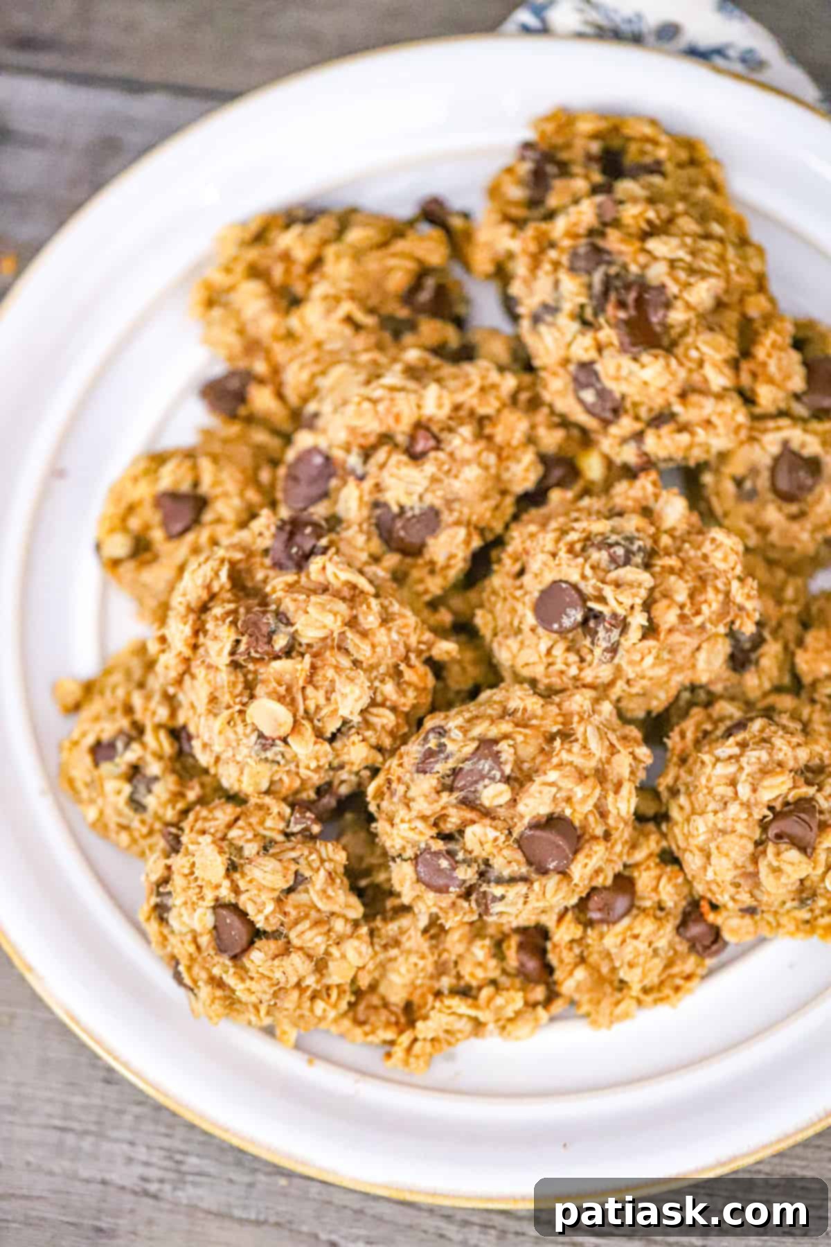 Simple 5-Ingredient Peanut Butter Banana Chocolate Chip Oatmeal Cookies 6 Banana Oat Chocolate Chip Breakfast Cookies