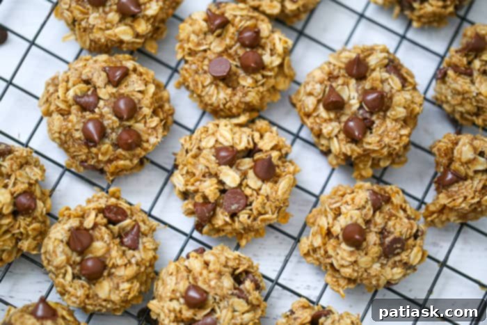 Simple 5-Ingredient Peanut Butter Banana Chocolate Chip Oatmeal Cookies 8 Flourless Peanut Butter Banana Oat Chocolate Chip Cookies
