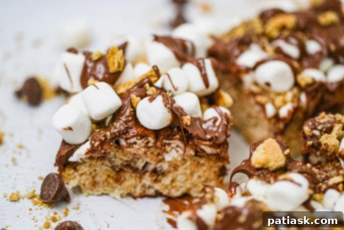 No-Bake S'mores Krispie Bars 4 Close-up of Marshmallow S'mores Rice Krispies treats